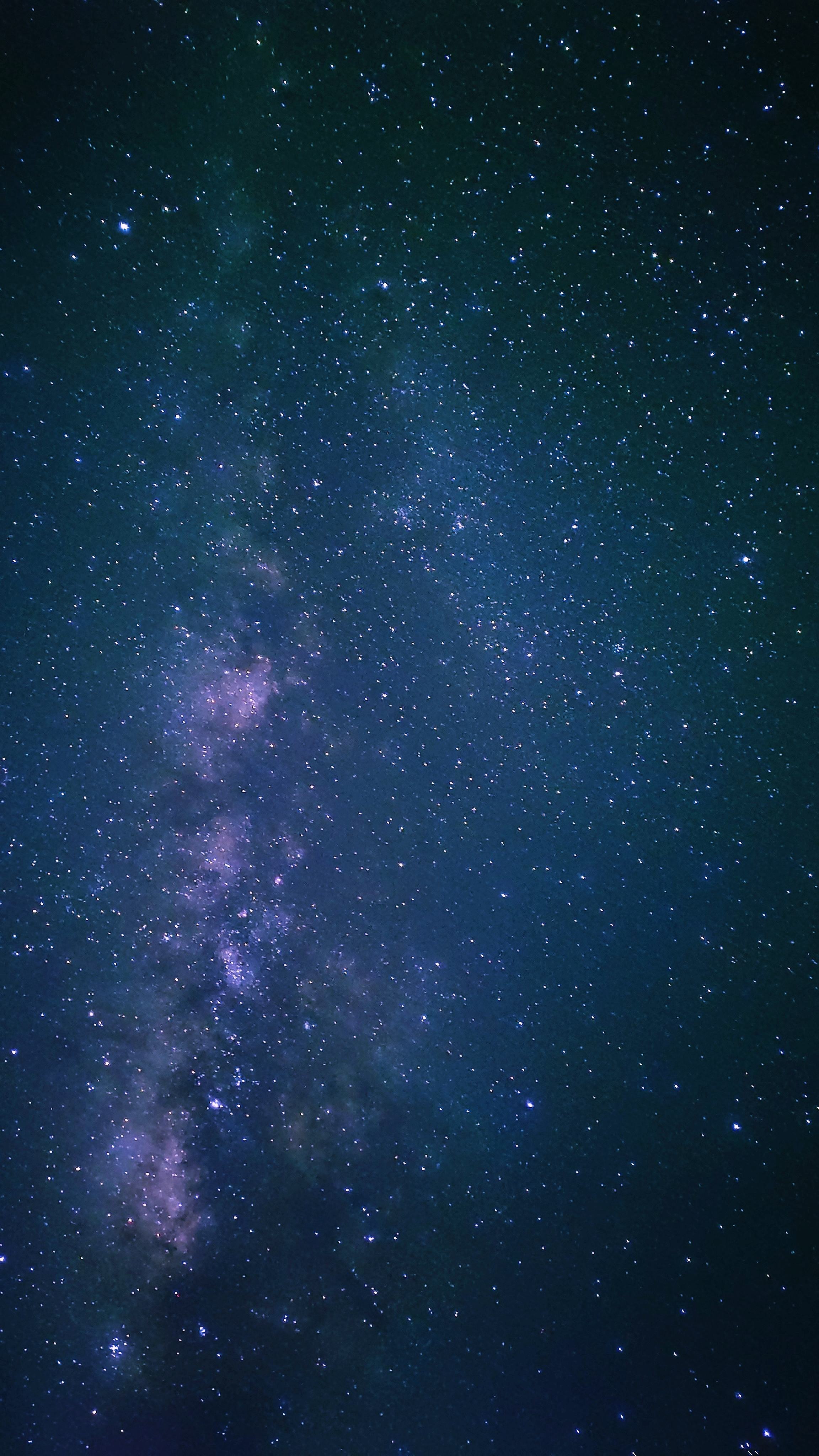 Computational Neuroscience